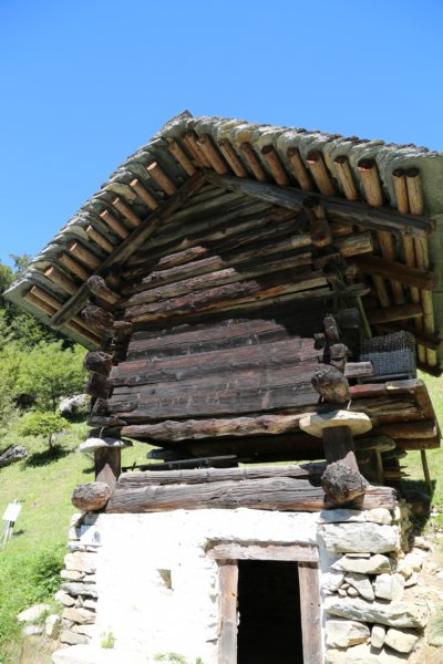 r19a1806.jpg