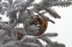 img_7339_small.jpg