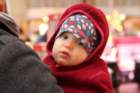 img_7355_small.jpg