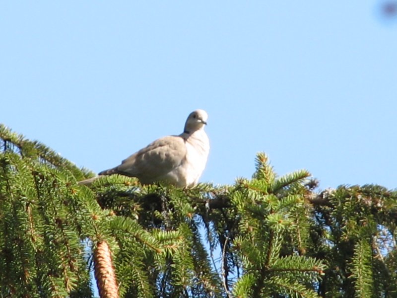 img_3543.jpg