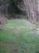img_3563_small.jpg