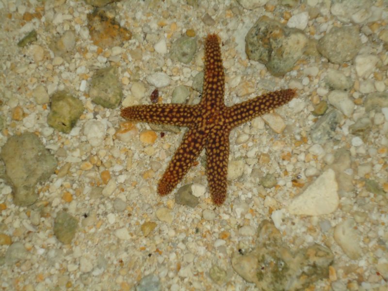 dsc00642.jpg