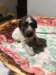 img20210122wa0001_small.jpg