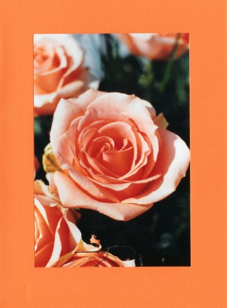 makro005_4_eos.jpg