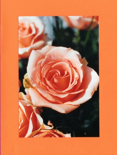makro005_4_eos2.jpg