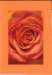 makro10422_small.jpg
