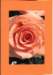 makro1047_small.jpg