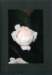 makro4728_eos_small.jpg