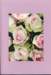 makro689_eos2_small.jpg