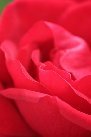 img_0358.jpg