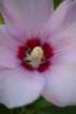 img_0863_small.jpg